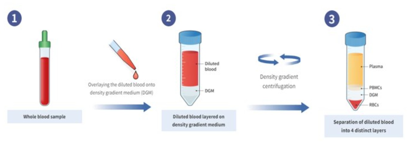 Blood-based biomarkers
