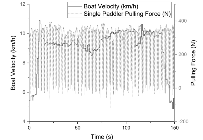 Stroke characteristics and boat kinematics