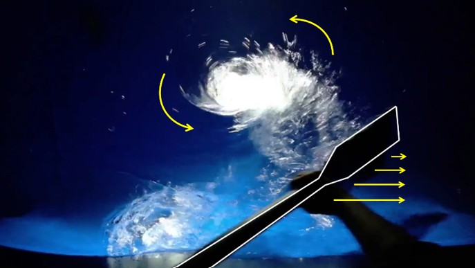 Dragon Boat Hydrodynamics and Biomechanics