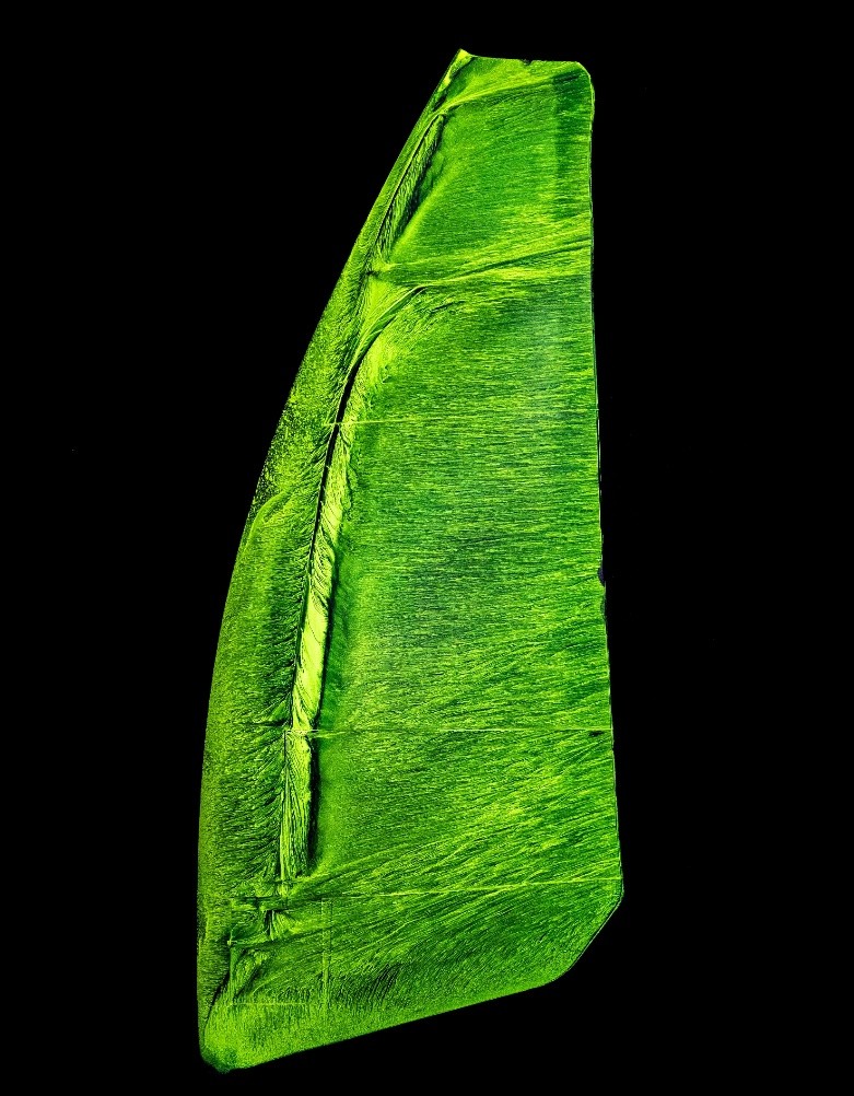 Dynamic sail testing platform